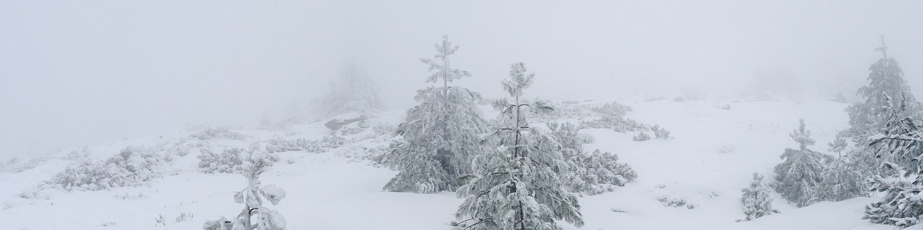 Neve sul monte Limbara